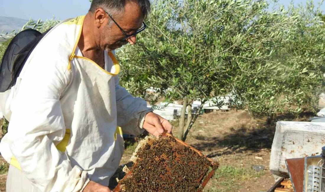 Gaziantep'te yaşayan Mehmet Uçar, annesinin astım hastalığı için doktorun bal