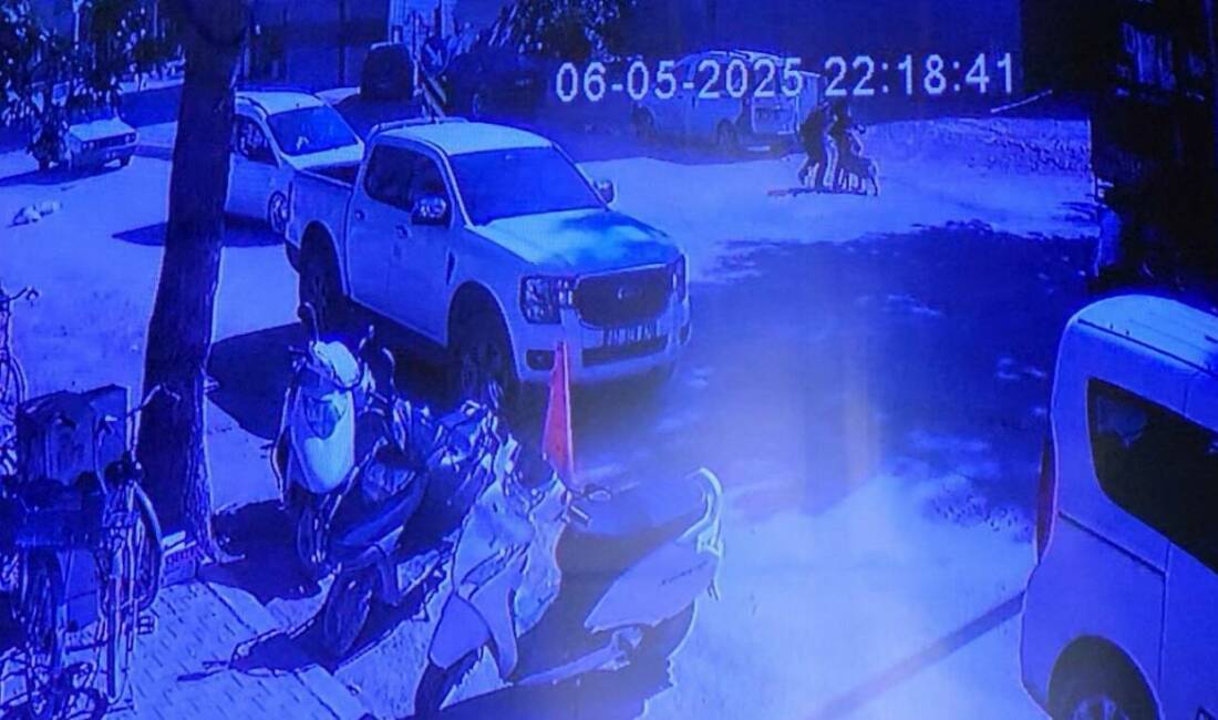 Adıyaman’da sahipli bir köpek, evden kaçarak sokakta yürüyen iki kıza