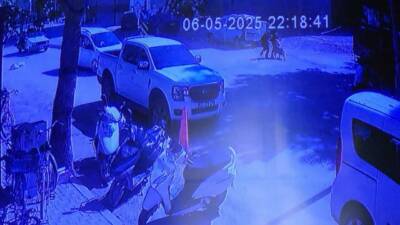 Adıyaman’da sahipli bir köpek, evden kaçarak sokakta yürüyen iki kıza