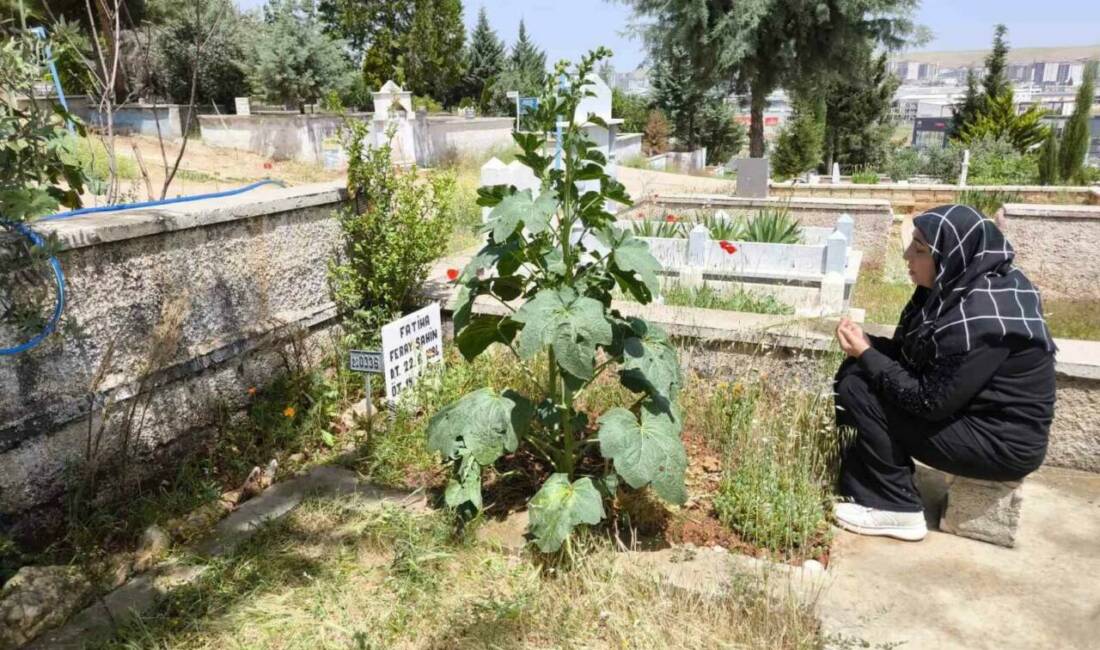 Mersin'de üniversite öğrencisi Feray Şahin, ölümünden 6 yıl sonra Anneler