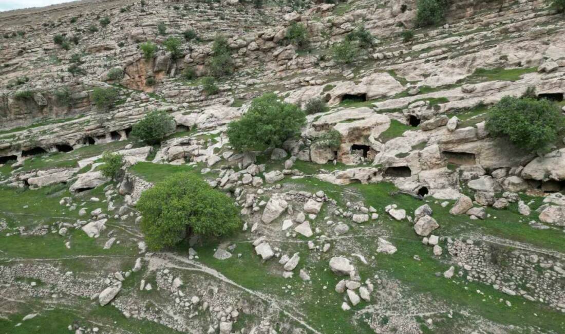 Şırnak'ın Gabar Dağı eteklerinde bulunan 360 mağara, tarihî ve doğal