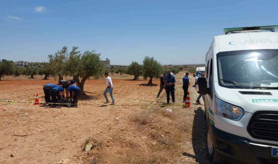 Gaziantep’in Nizip ilçesinde 25 yaşındaki bir kişi, zeytin tarlasında başından