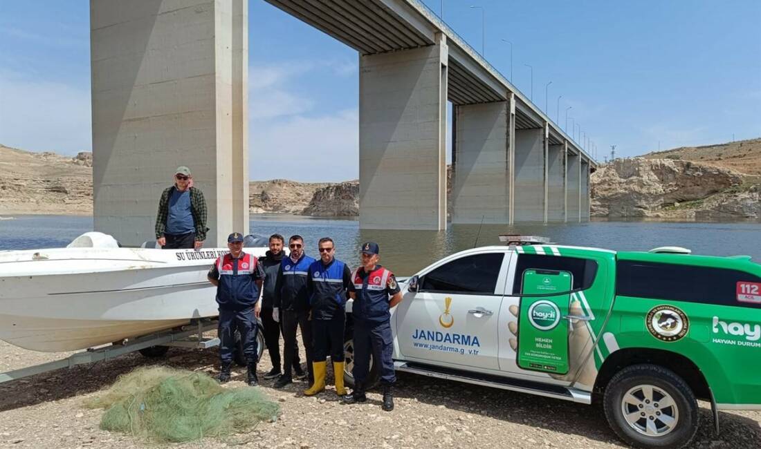 Batman Jandarma Komutanlığı ve İl Tarım Orman Müdürlüğü ekipleri, kaçak