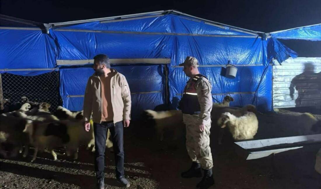 Kilis'in Tahtalı Köyü'nde ikamet eden V.B., 25 küçükbaş hayvanını kaybettiğini