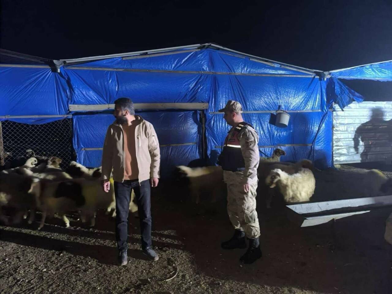 Kilis'in Tahtalı Köyü'nde ikamet eden V.B., 25 küçükbaş hayvanını kaybettiğini