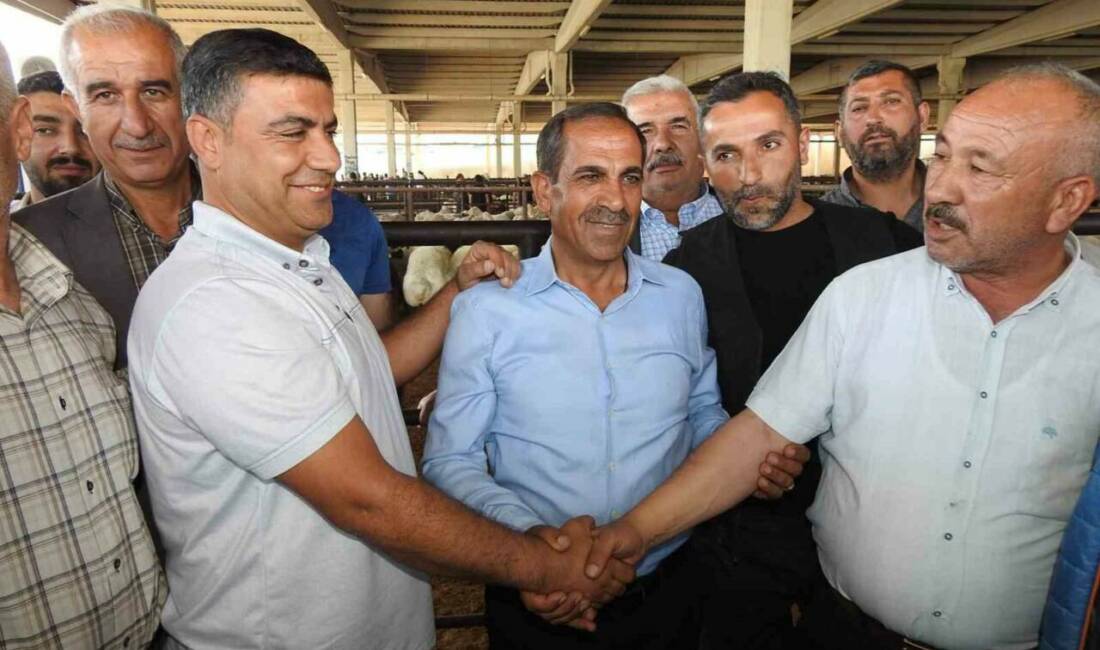 Kurban Bayramı’na kısa bir süre kala Gaziantep’te hayvan pazarları kurbanlık