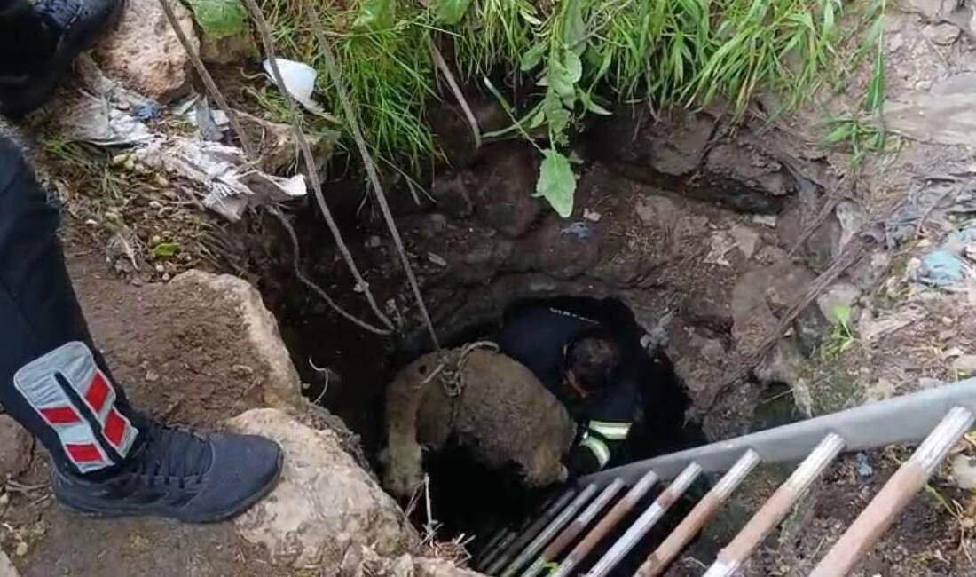 Diyarbakır’ın Çınar ilçesinde, Uzgider Mahallesi’nde bir koyunun kuyuya düşmesi sonucu