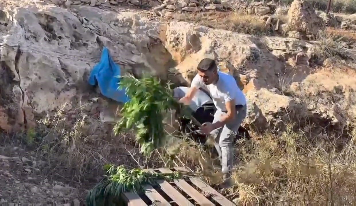 Şanlıurfa’da bir mağarada 88 kök kenevir bitkisi ile kayalıklara saklanmış