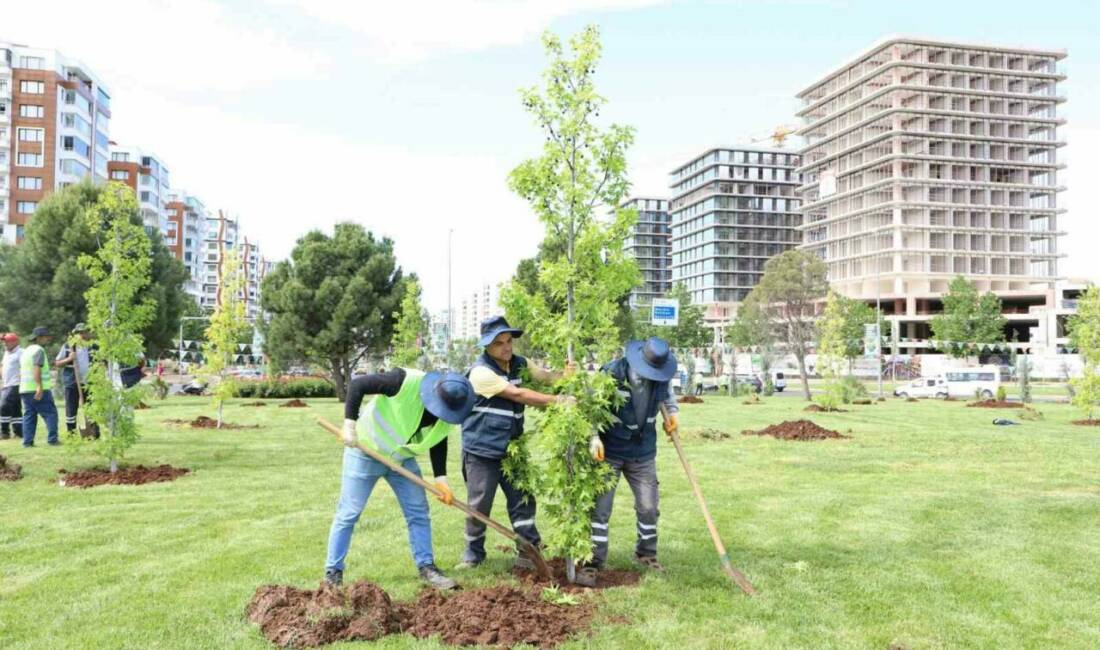 Diyarbakır Büyükşehir Belediyesi, Mahabad Bulvarı üzerinde peyzaj çalışmaları yapıyor. Park