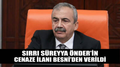 Türkiye Büyük Millet Meclisi (TBMM) Grup Başkanvekili ve DEM Parti