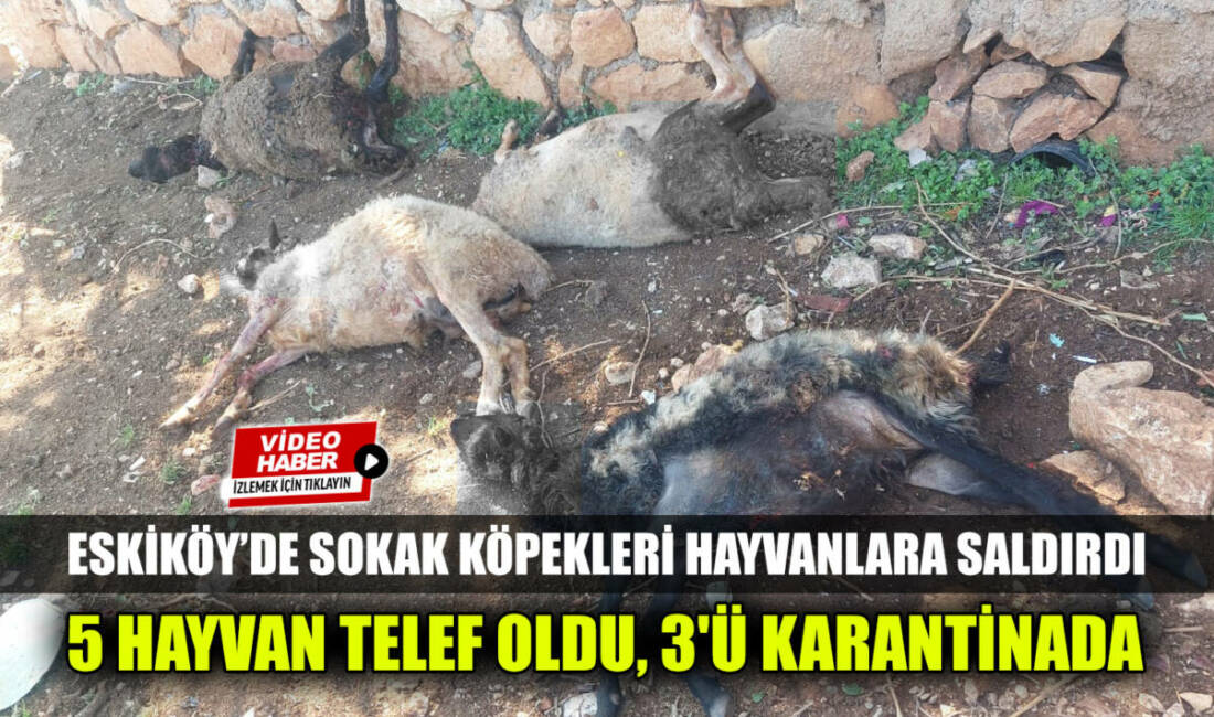 Besni’ye bağlı Sugözü Köyü’nde (Eskiköy) iki gün üst üste yaşanan