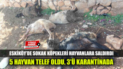 Besni’ye bağlı Sugözü Köyü’nde (Eskiköy) iki gün üst üste yaşanan