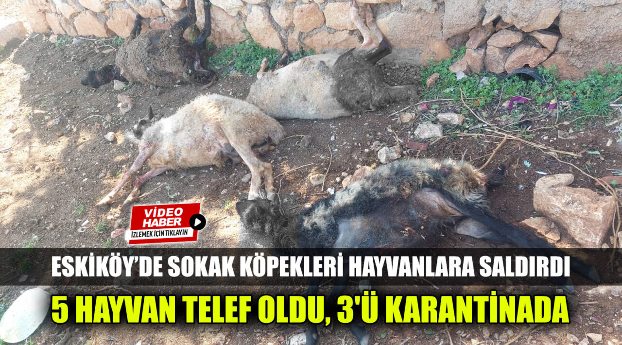 Besni’ye bağlı Sugözü Köyü’nde (Eskiköy) iki gün üst üste yaşanan