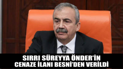 Türkiye Büyük Millet Meclisi (TBMM) Grup Başkanvekili ve DEM Parti