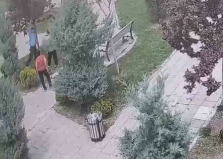 Mardin'in Mazıdağı ilçesinde bir grup genç, park alanındaki ağaca zarar