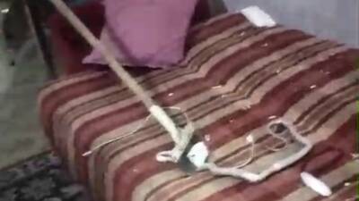 Mardin’in Artuklu ilçesinde eve giren yılan, itfaiye ekiplerince yakalanarak doğaya