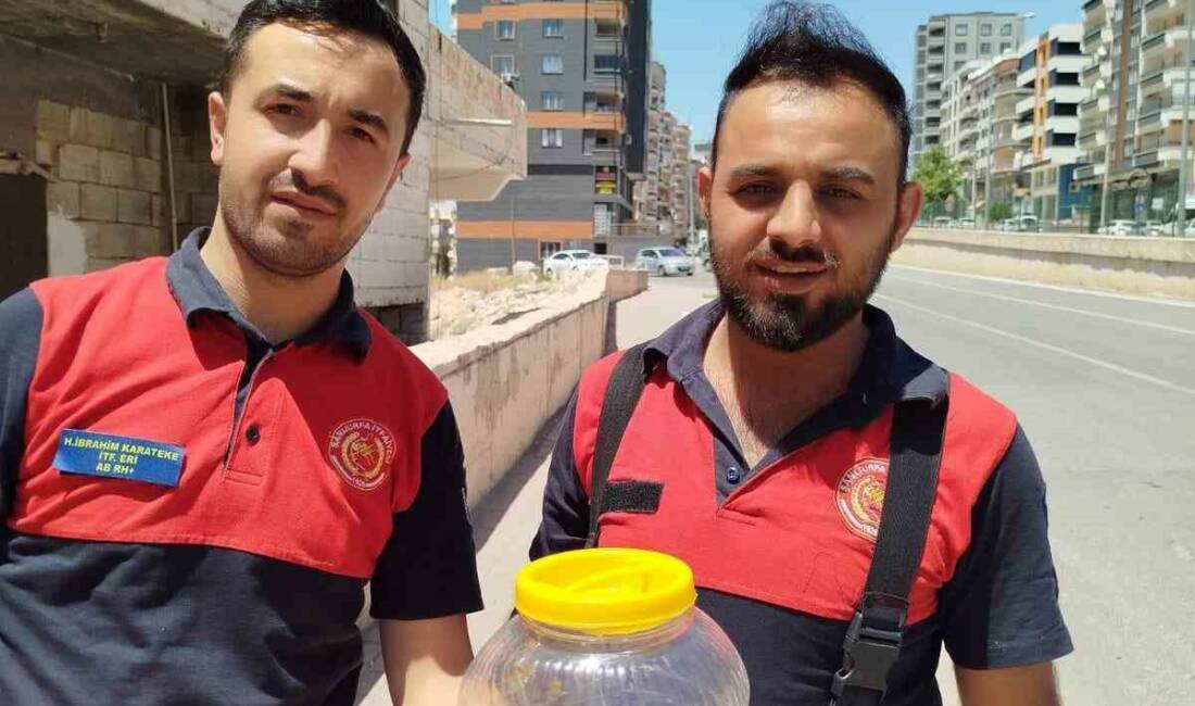 Şanlıurfa’da bir evin mutfağında görülen yılan, itfaiye ekiplerince yakalanarak doğal