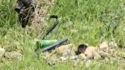 Şırnak’ta odun almaya giden kadın, yaklaşık 2 metre uzunluğunda yılan