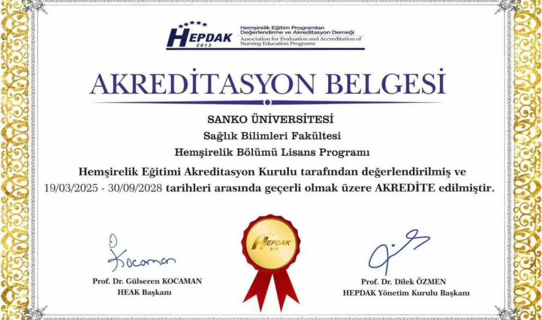 SANKO Üniversitesi Sağlık Bilimleri Fakültesi (SBF) Hemşirelik Programı, Hemşirelik Eğitim
