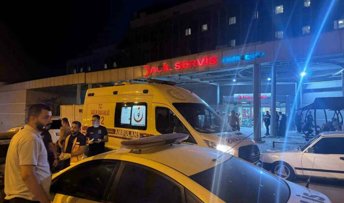 Şanlıurfa'nın Birecik ilçesindeki arazi anlaşmazlığı kavgasında ölen 4 kuzenin ardından