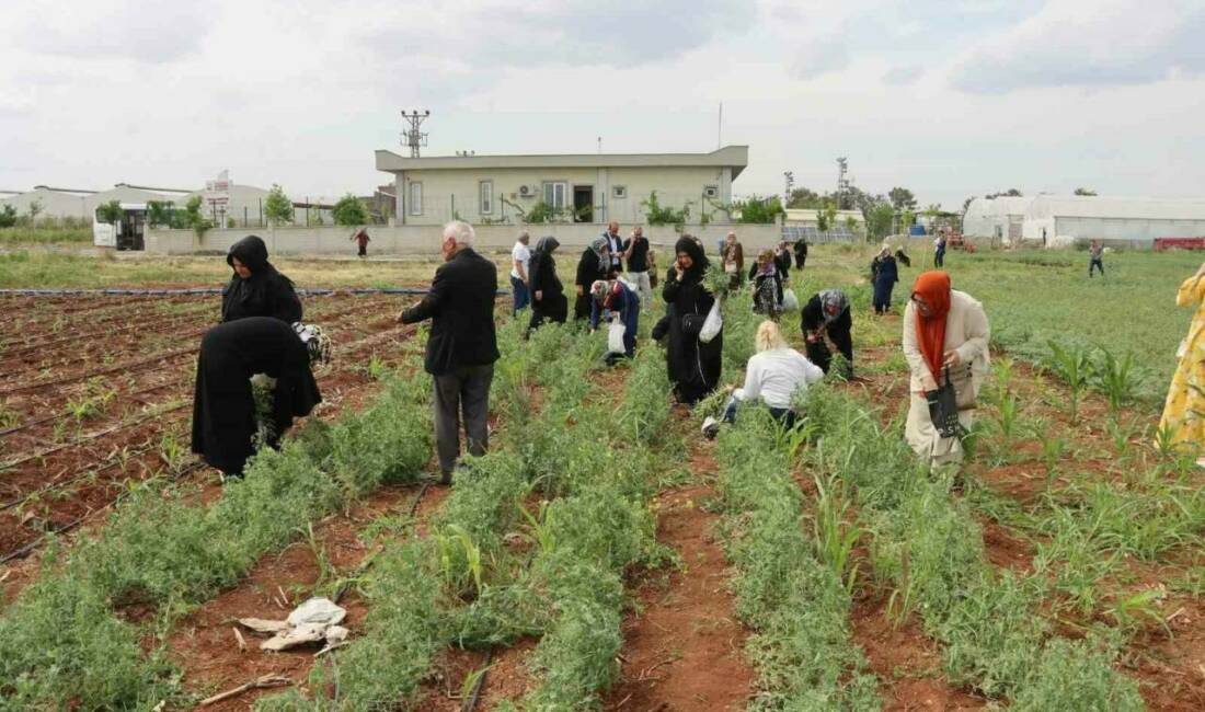 Şanlıurfa Büyükşehir Belediyesi, emekli kadınların sosyal hayatlarına katkı sağlamak amacıyla