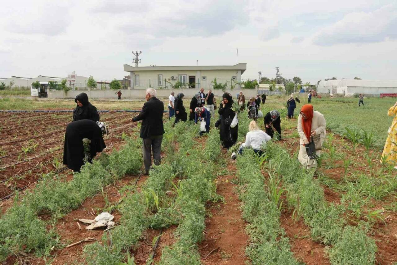 Şanlıurfa Büyükşehir Belediyesi, emekli kadınların sosyal hayatlarına katkı sağlamak amacıyla