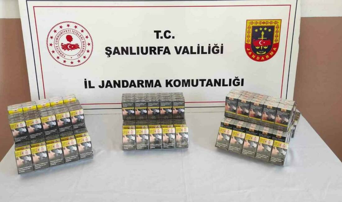 Şanlıurfa'da jandarma ekipleri tarafından gerçekleştirilen operasyonda hassas burunlu köpeklerle birlikte