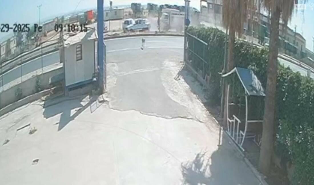 Şanlıurfa'da sokak köpeğinin yol açtığı zincirleme trafik kazasında 4 kişi