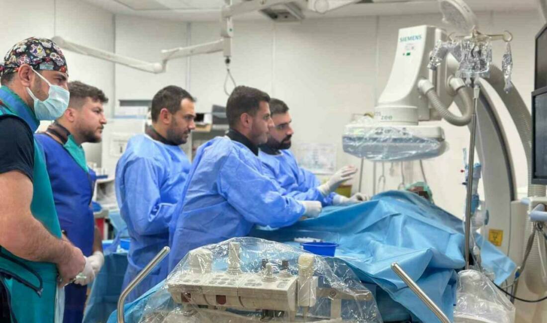 Siirt Eğitim ve Araştırma Hastanesi'nde varikosel tedavisi, damar içi embolizasyon