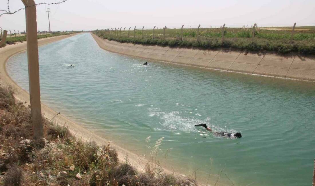 Şanlıurfa’da sulama kanalına düşerek akıntıya kapılan çocuk için arama çalışması