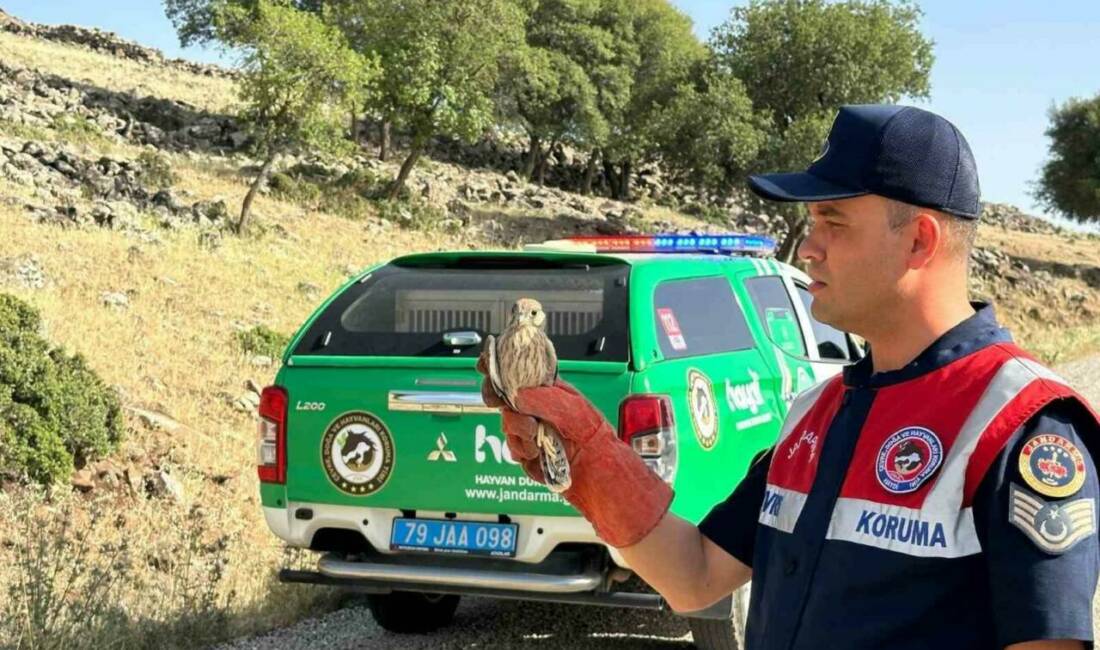 Kilis’in Merkez ilçesine bağlı Çukuroba Köyü mevkiinde, Çevre, Doğa ve