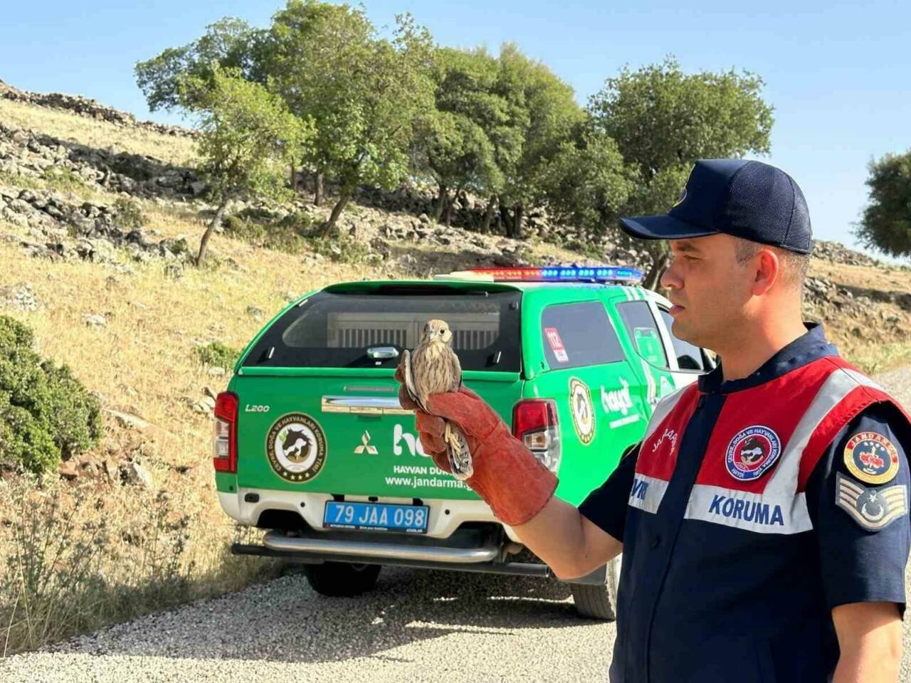 Kilis’in Merkez ilçesine bağlı Çukuroba Köyü mevkiinde, Çevre, Doğa ve