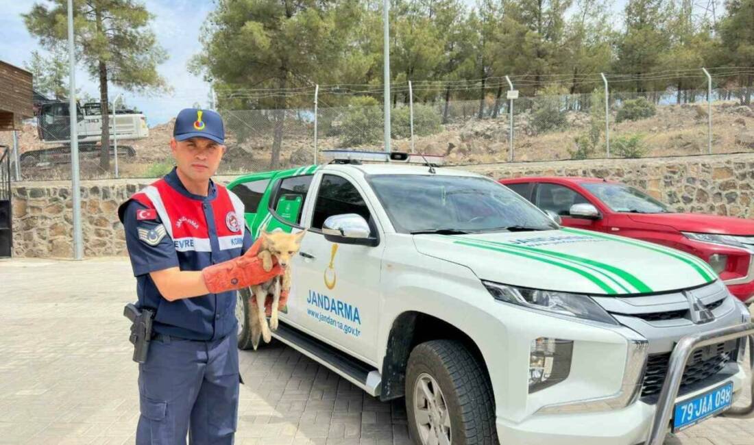 Kilis ili Merkez ilçesi Resul Osman Mesire Alanı mevkiinde Çevre,