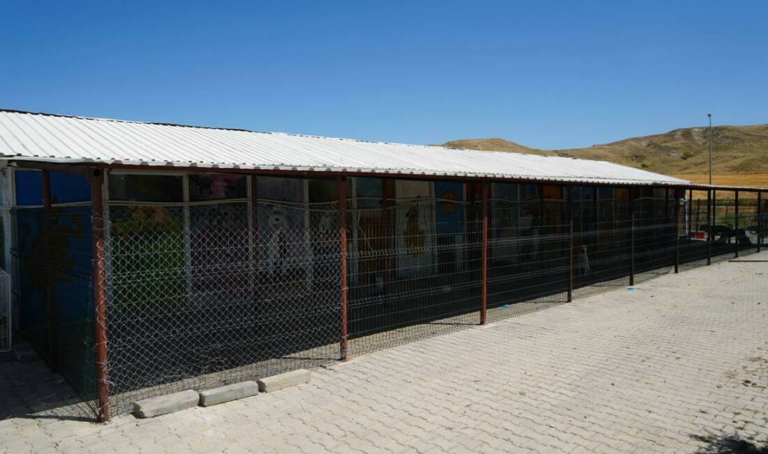 Adıyaman Belediyesi, yaz sıcaklarında sokak hayvanları için barınakta gölgelikler ve