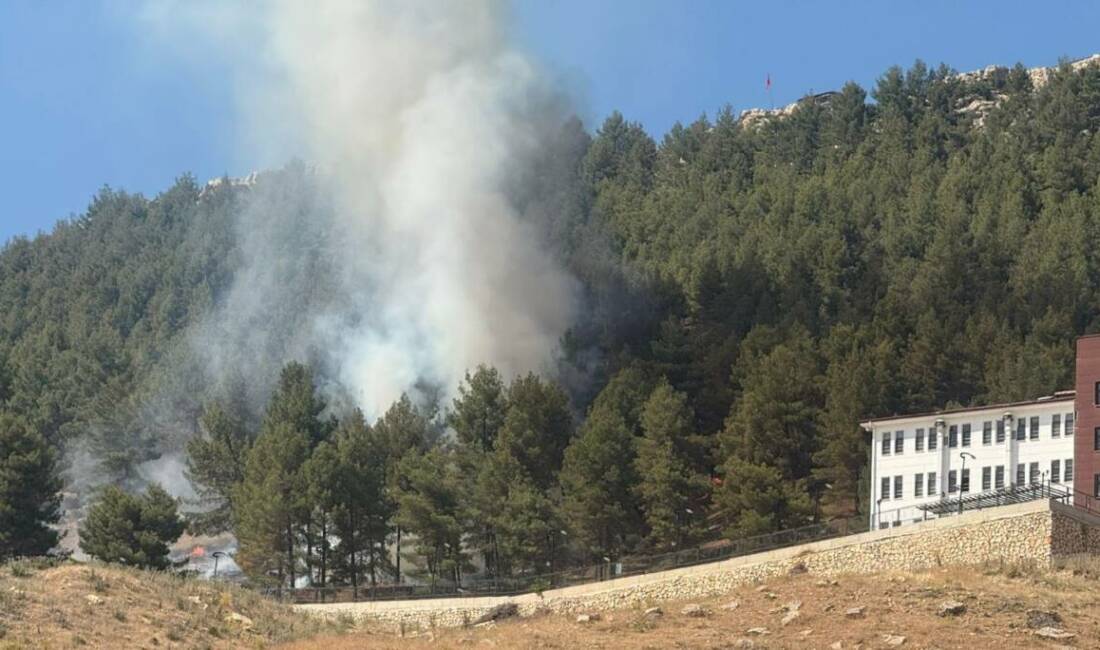 Adıyaman’da, ormanlık alan içerisinde çıkan yangın korkuttu.
