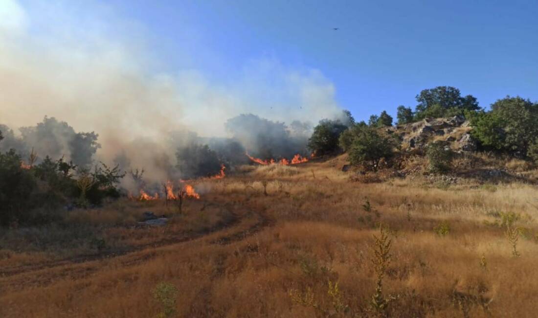 Adıyaman’da meydana gelen orman yangını korku ve paniğe neden oldu.