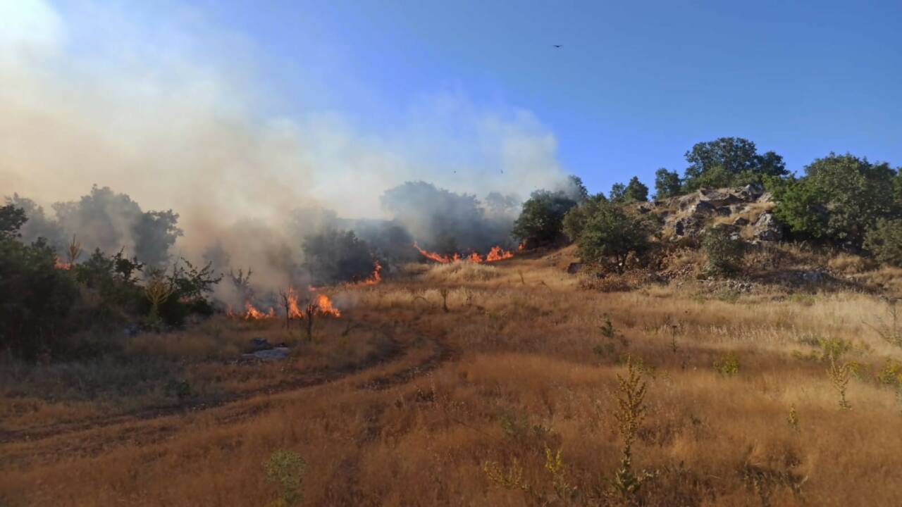 Adıyaman’da meydana gelen orman yangını korku ve paniğe neden oldu.