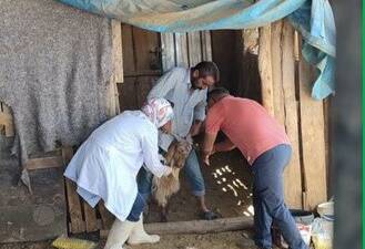 Adıyaman Tarım ve Orman İl Müdürlüğü, halk sağlığını tehdit eden