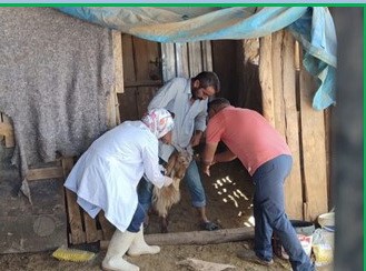 Adıyaman Tarım ve Orman İl Müdürlüğü, halk sağlığını tehdit eden