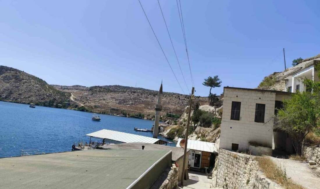 Şanlıurfa’nın Halfeti ilçesinde doğal ortamında görüntülenmek istenen Çizgili Anadolu Sırtlanı,