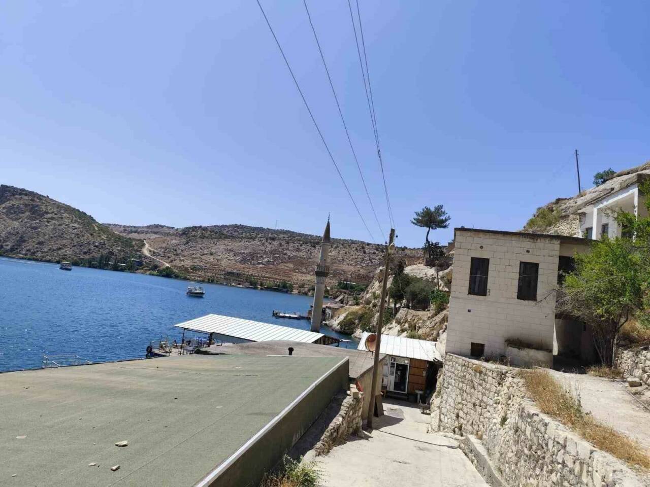 Şanlıurfa’nın Halfeti ilçesinde doğal ortamında görüntülenmek istenen Çizgili Anadolu Sırtlanı,