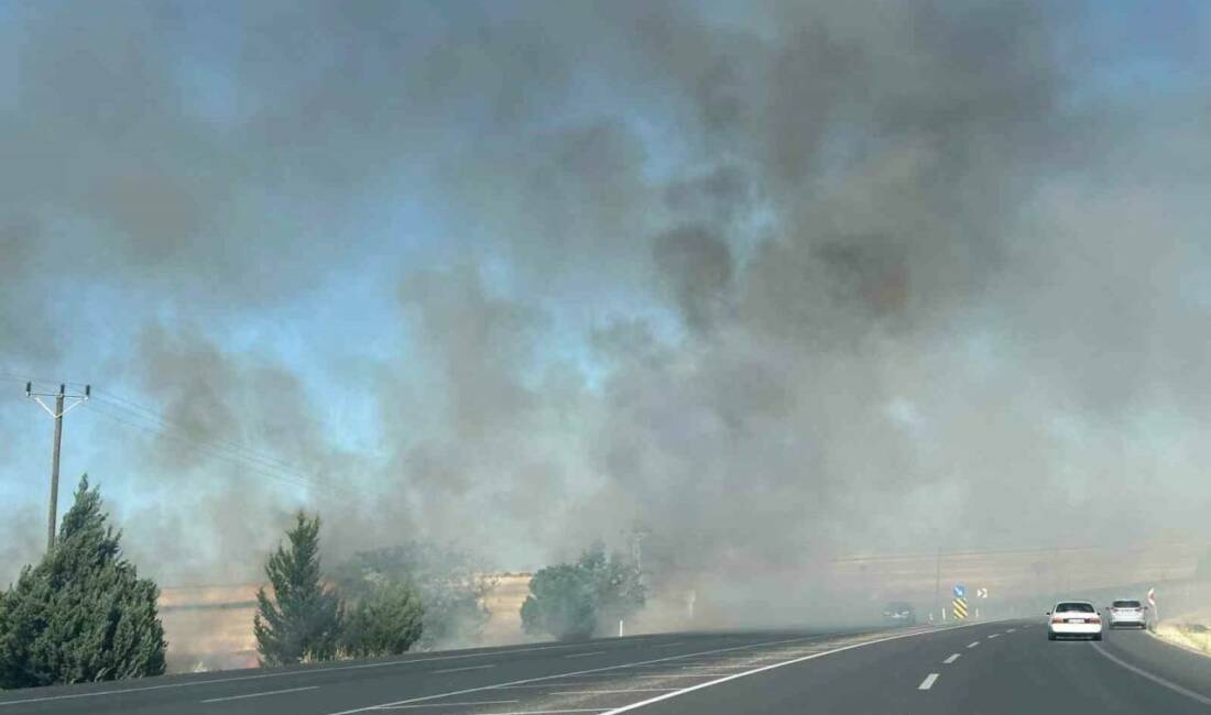 Adıyaman’da meydana gelen anız yangını saman balyalarını küle çevirdi.