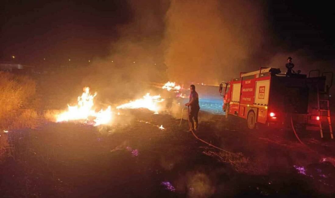 Besni ilçesine bağlı Ali Erdemoğlu Mahallesi'nde çıkan anız yangınında ağaçlar,