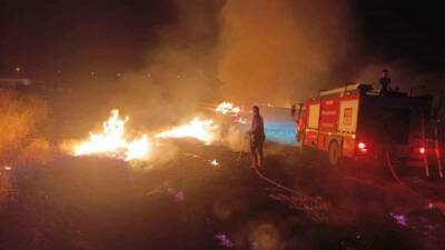 Besni ilçesine bağlı Ali Erdemoğlu Mahallesi'nde çıkan anız yangınında ağaçlar,