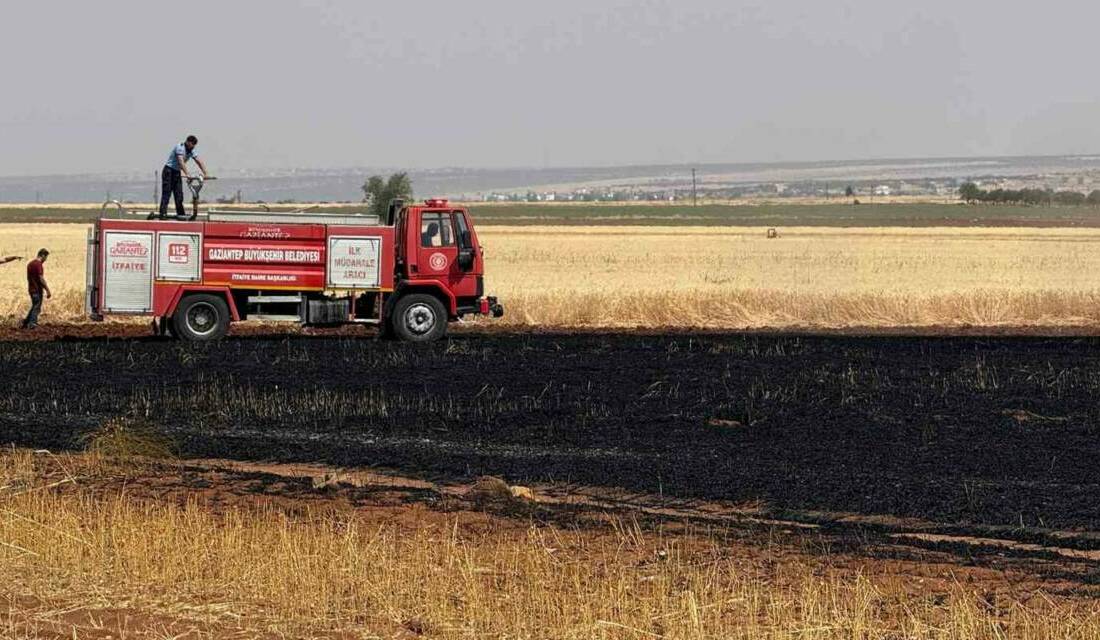 Gaziantep’in Araban ilçesinde öğle saatlerinde buğday ekili alanda çıkan yangın,