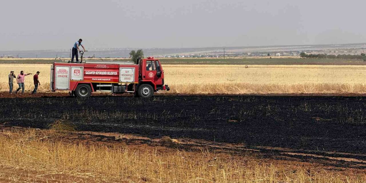 Gaziantep’in Araban ilçesinde öğle saatlerinde buğday ekili alanda çıkan yangın,