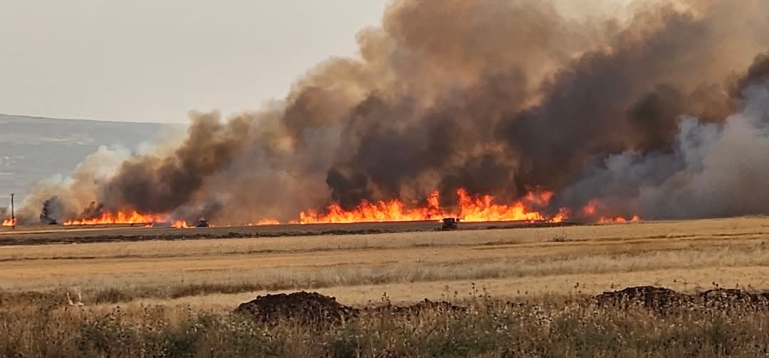 Gaziantep Araban Ovası’nda 8 ayrı buğday tarlasında çıkan yangında 2