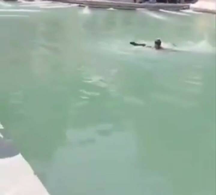 Şanlıurfa'da Balıklıgöl'e girerek yüzen bir şahsa kabahatler kanunu gereği cezai
