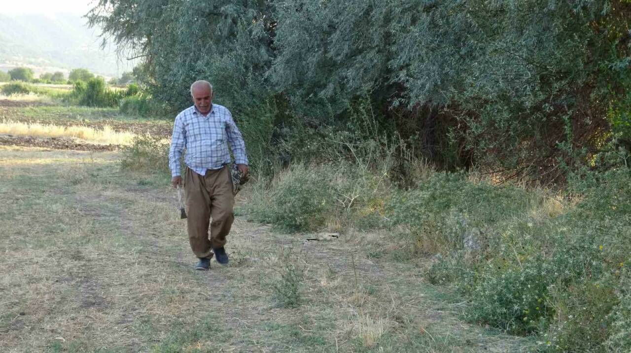 Batman’ın Gercüş ilçesinde boş olan yüzme havuzuna düşen yavru tilki