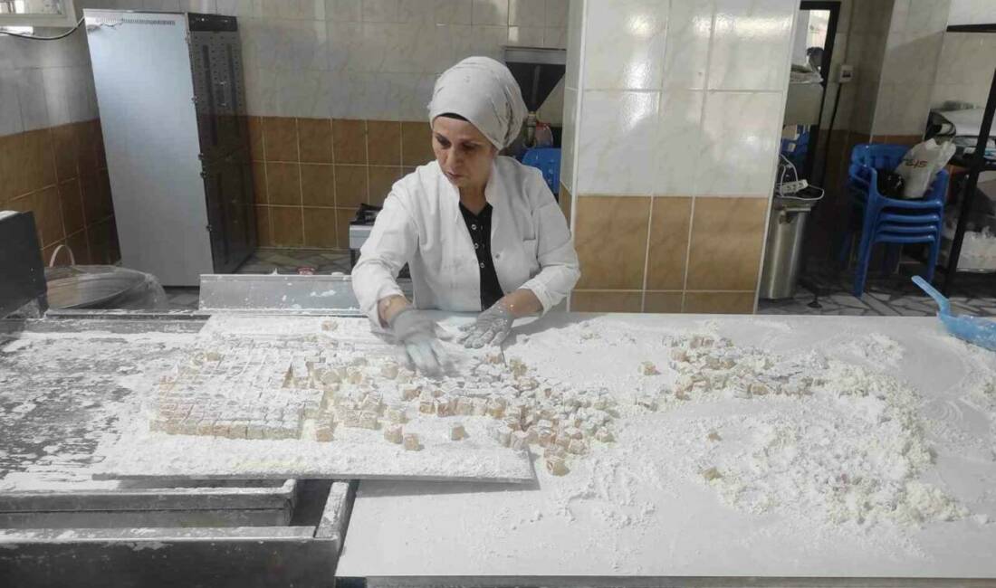 Sason ilçesindeki girişimci kadınlar, coğrafi işaretli organik Sason çileği kullanarak